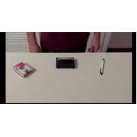 Passenger Wallet by Plain Sight Magic