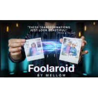 Foolaroid Lovestory Edition
