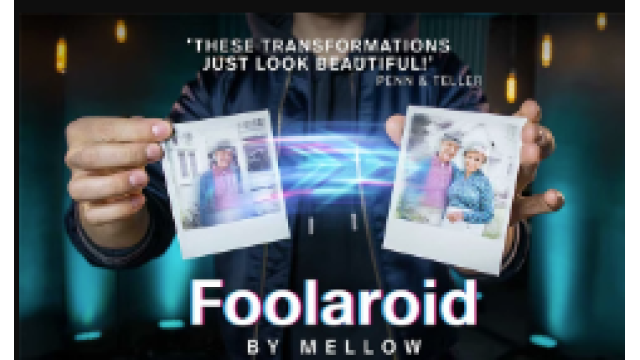 Foolaroid Lovestory Edition -