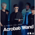 Acrobat Wand by Eden Acrobat Wand by Eden