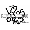 Miracle Number by Toyohisa Saikawa Miracle Number by Toyohisa Saikawa