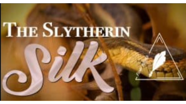 Slytherin Silks: Serious Standup Sorcery by Conjuror Community -