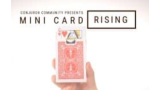 Mini Card Rise by Conjuror Community