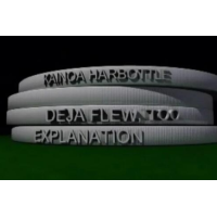 Deja Flew Too by Kainoa Harbottle