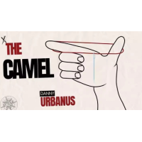 The Camel by Danny Urbanus