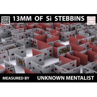 13Mm Of Si Stebbins by Unknown Mentalist