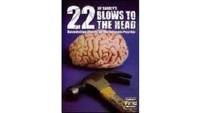 22 Blows To The Head by Jay Sankey