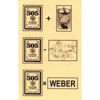 505 Lecture Notes by Michael Weber
