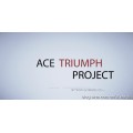 Ace Triumph by Denis Vasiliev Ace Triumph by Denis Vasiliev
