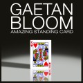 Amazing Standing Card by Gaetan Bloom Amazing Standing Card by Gaetan Bloom