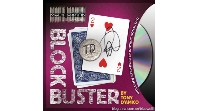 Block Buster by Tony DAmico