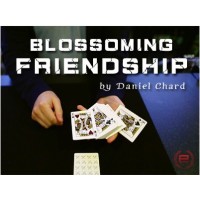 Blossoming Friendship by Daniel Chard