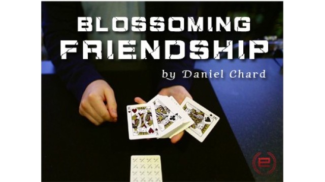 Blossoming Friendship by Daniel Chard