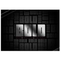 The Bold Project by Justin Miller The Bold Project by Justin Miller