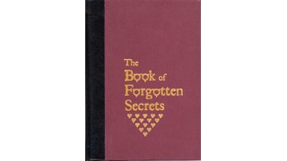 The Book Of Forgotten Secrets by Stephen Minch