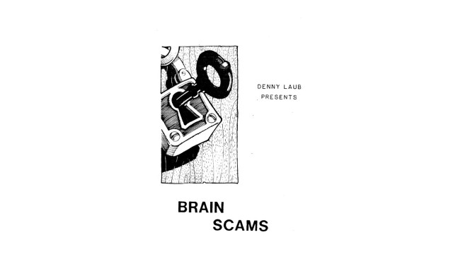 Brain Scams by Denny Laub