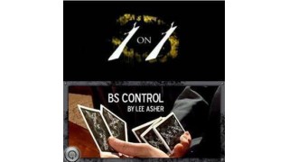 Bs Control by Lee Asher