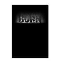 Burn by Daniel Madison