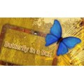 Butterfly In A Box by Mark Presley Butterfly In A Box by Mark Presley