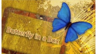 Butterfly In A Box by Mark Presley