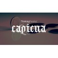 Capicua by Thinking Paradox Capicua by Thinking Paradox