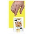 The Card That Falls Up by John Kennedy The Card That Falls Up by John Kennedy