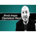Chameleon Pieces by Woody Aragon Chameleon Pieces by Woody Aragon