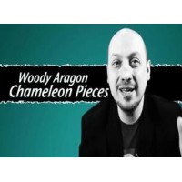 Chameleon Pieces by Woody Aragon