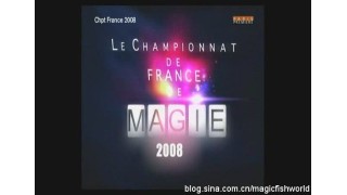 Championnat De France De Magie 2008