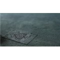 The Cloak by Daniel Prado The Cloak by Daniel Prado