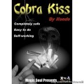 Cobra Kiss by Hondo And Magic Soul Cobra Kiss by Hondo And Magic Soul