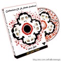 Confessions Of A Needle Swallower by Steve Spill Confessions Of A Needle Swallower by Steve Spill