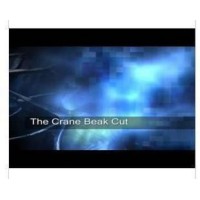The Crane Beak Cut by Owen Packard