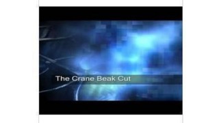 The Crane Beak Cut by Owen Packard