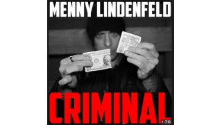 Criminal by Menny Lindenfeld