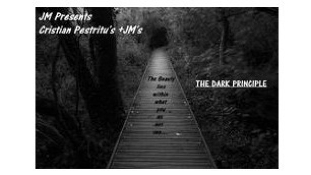 The Dark Principle by Cristian And Justin Miller