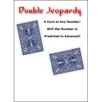 Double Jeopardy by Peter Duffie