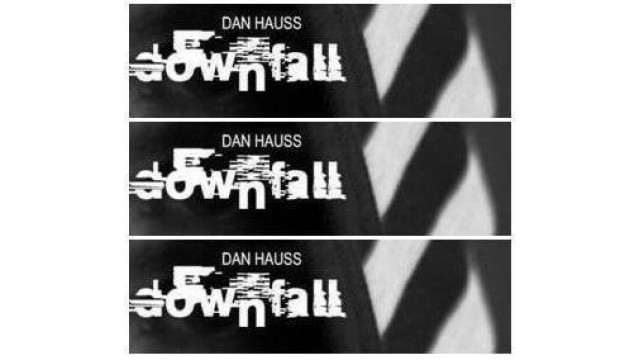 Downfall by Dan Hauss