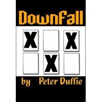 Downfall by Peter Duffie