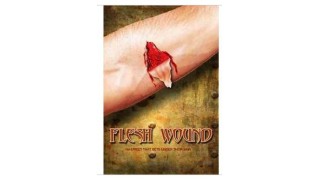 Flesh Wound by Magic Smith