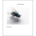 Fly On The Wall by Cedric Taylor Fly On The Wall by Cedric Taylor