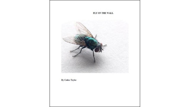 Fly On The Wall by Cedric Taylor