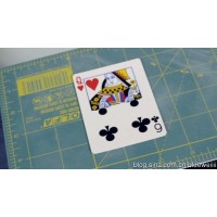Gaff Cards by Gary Plants
