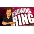 Growing Ring by Dan Hauss Growing Ring by Dan Hauss