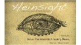 Heinsight by Karl Hein