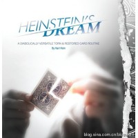 Heinstein's Dream by Karl Hein