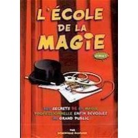 Lecole De La Magie Par by Dominique Duvivier