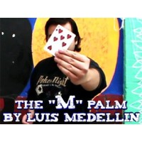The M Palm by Luis Medellin