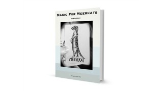 Magic For Meerkats by James Went