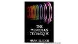 The Meridian Technique by Mark Elsdon